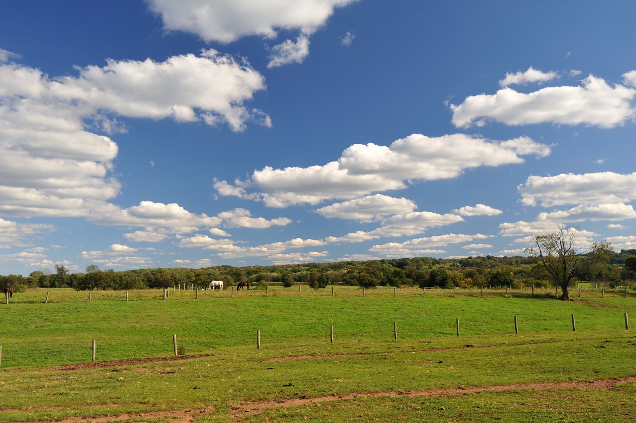 Farmland